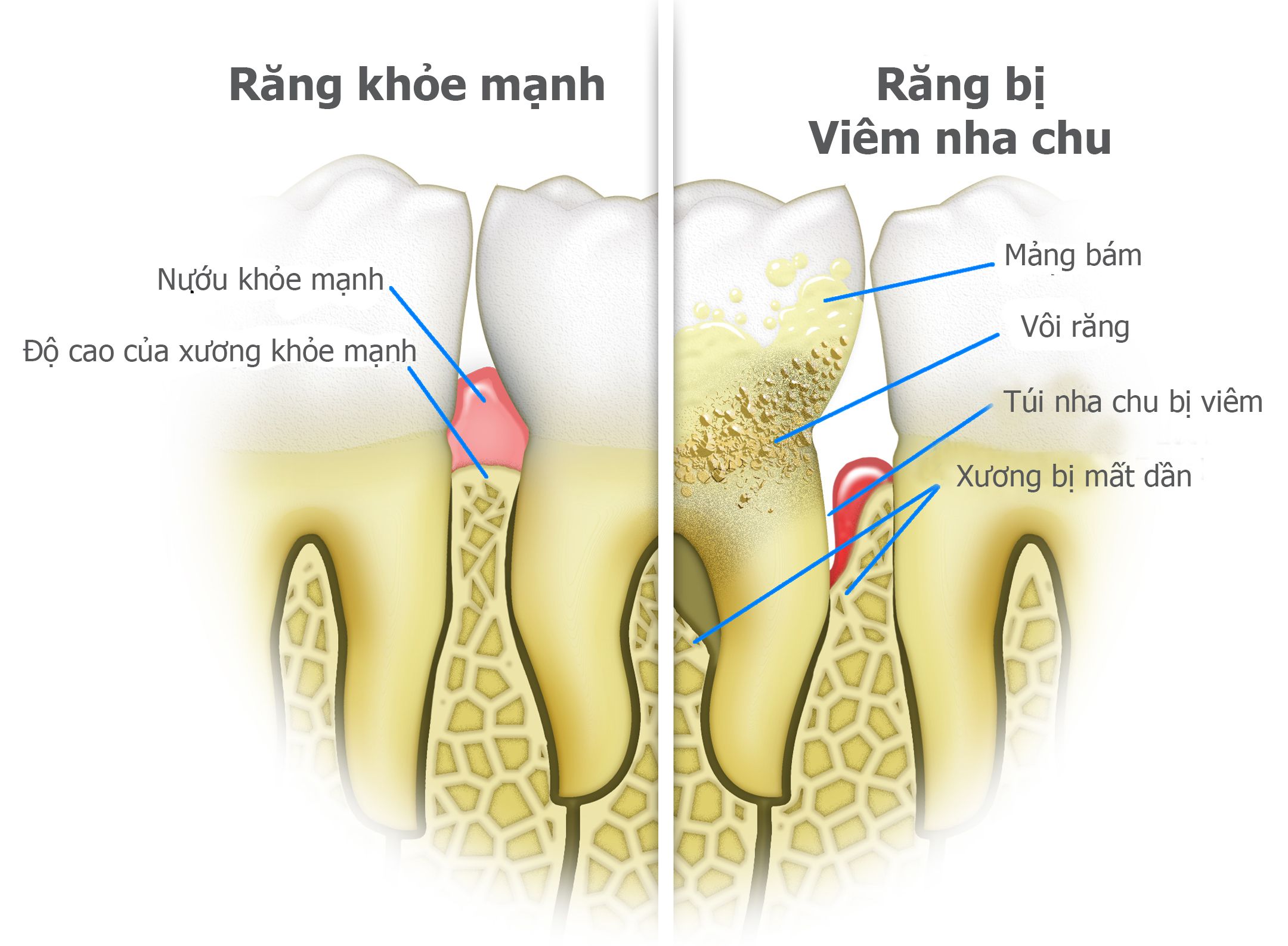 viem-nha-chu-2.jpg